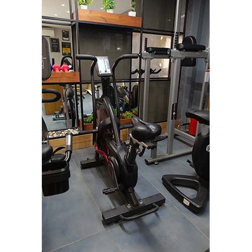 WG AIR 20 WIND BIKE