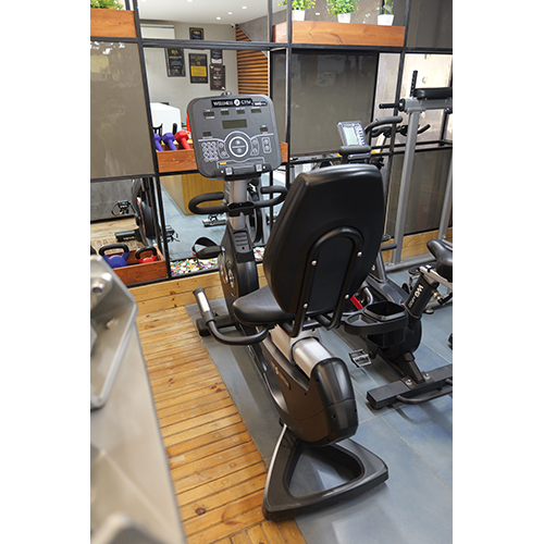 WG R 10 RECUMBENT BIKE
