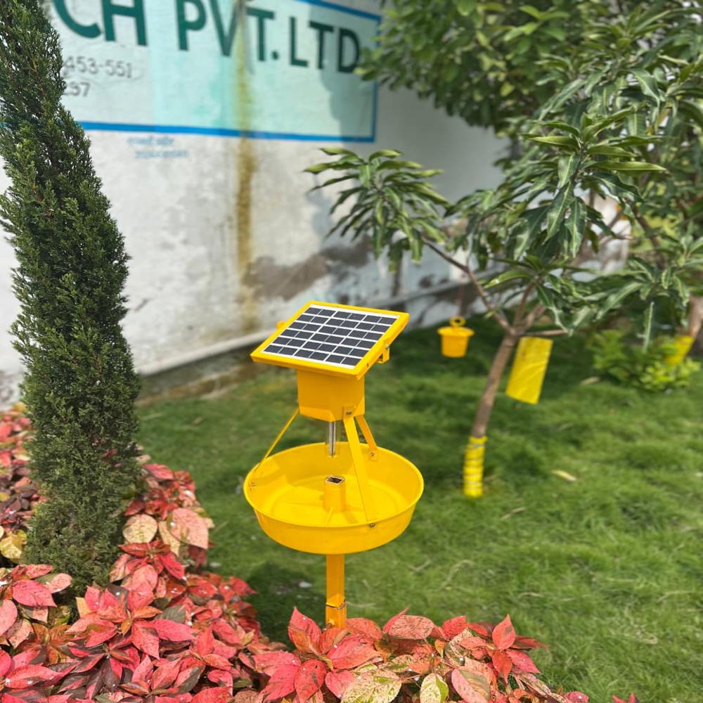Indo Economy Solar Light Trap