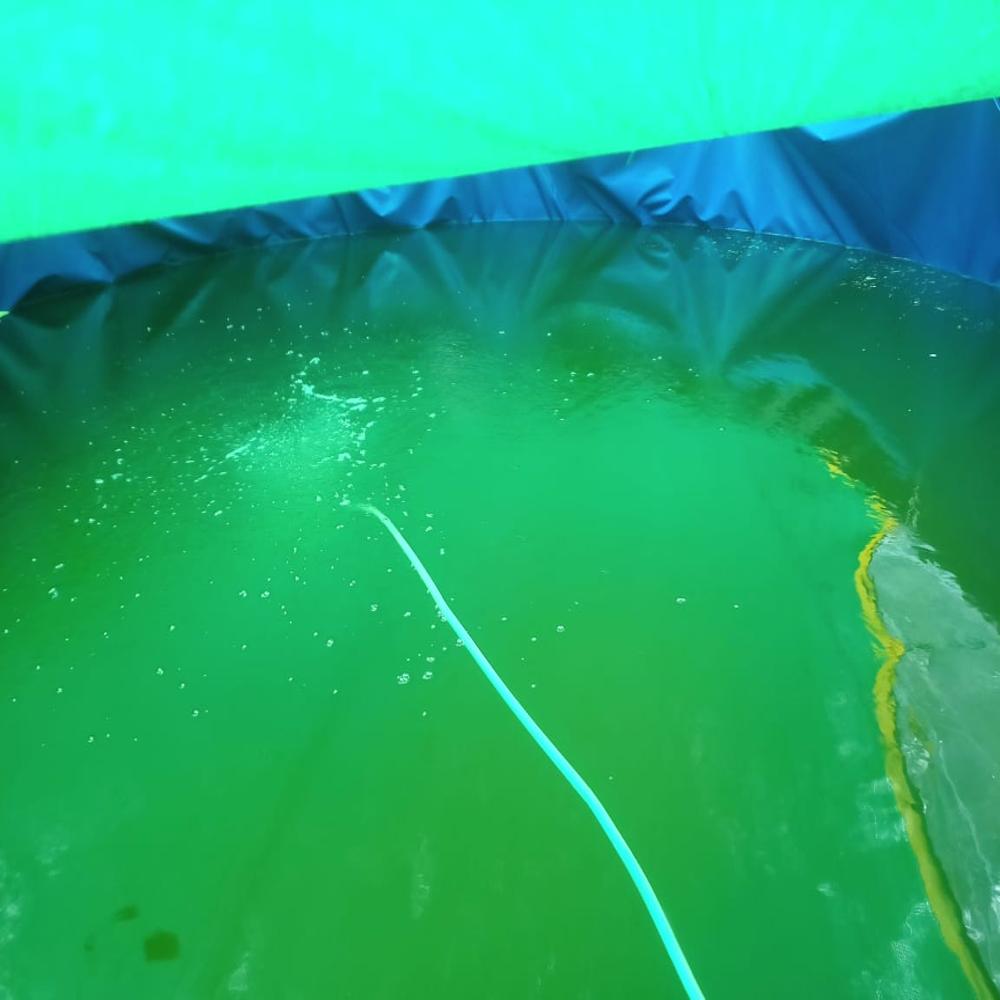Biofloc Fish Farming Tank 11 diameter 750 GSM ( 75627 liter )