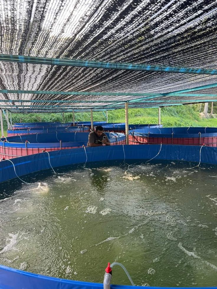 Biofloc Fish Farming Tank 11 Diameter 1250 Gsm ( 75627 Liter) - Color: Blue