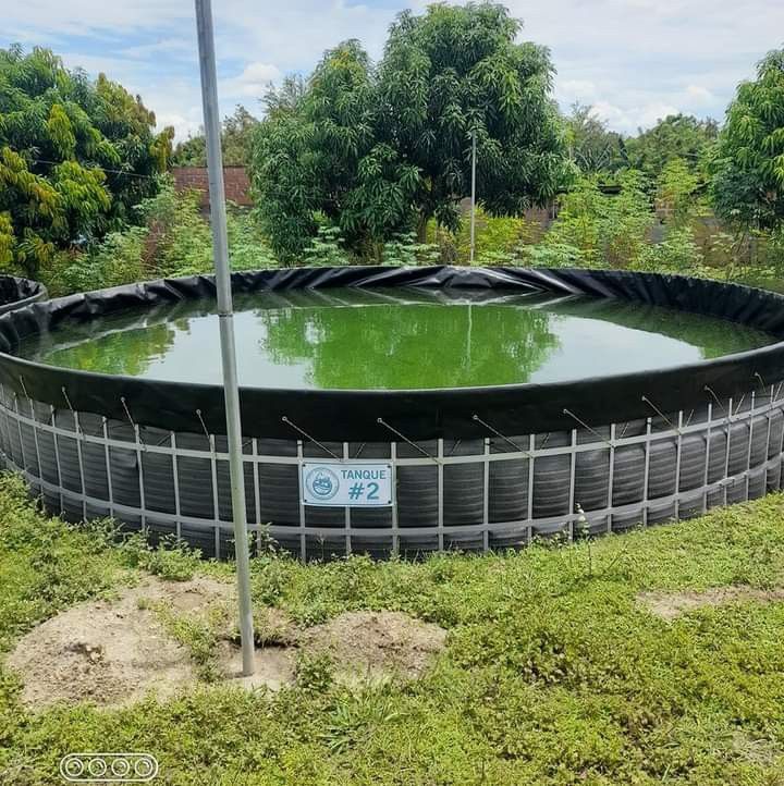Biofloc Fish Farming Tank 11 Diameter 1250 Gsm ( 75627 Liter) - Color: Blue