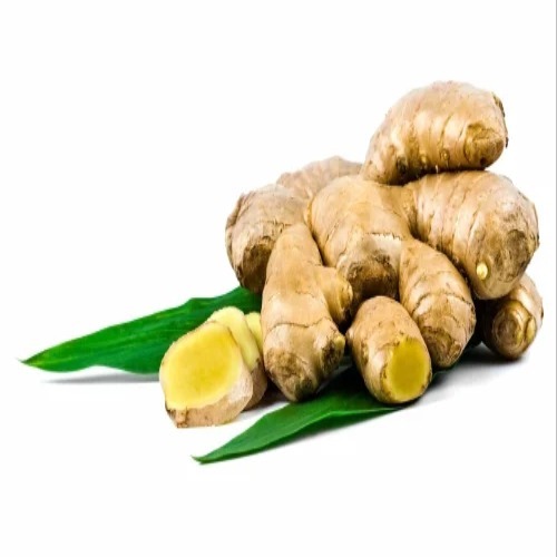 Ginger Dry Extract 1.5%