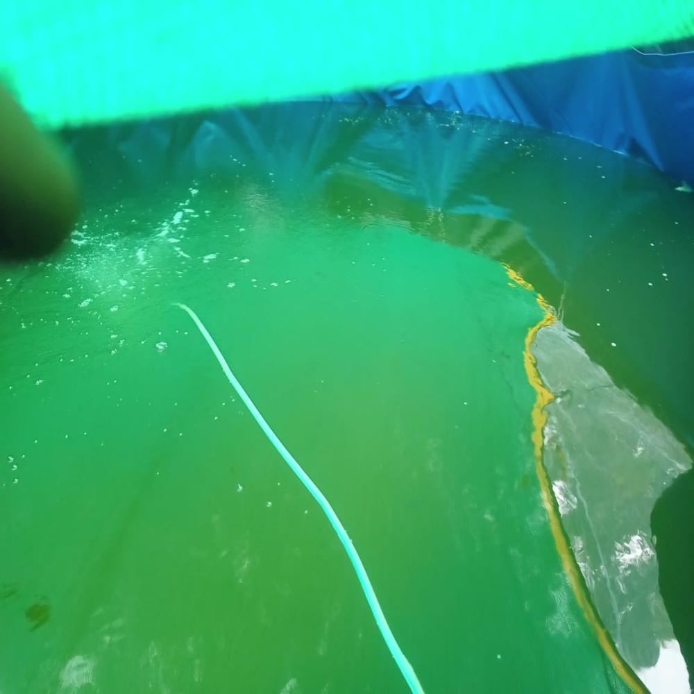 Biofloc Fish Farming Tank 11 diameter 1350 GSM (75627 liter )