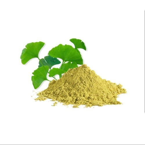 Ginkgo Biloba Extract 24%