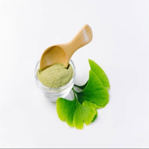 Ginkgo Biloba Extract 24%
