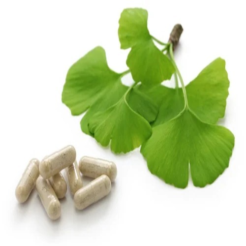Ginkgo Biloba Extract 24%