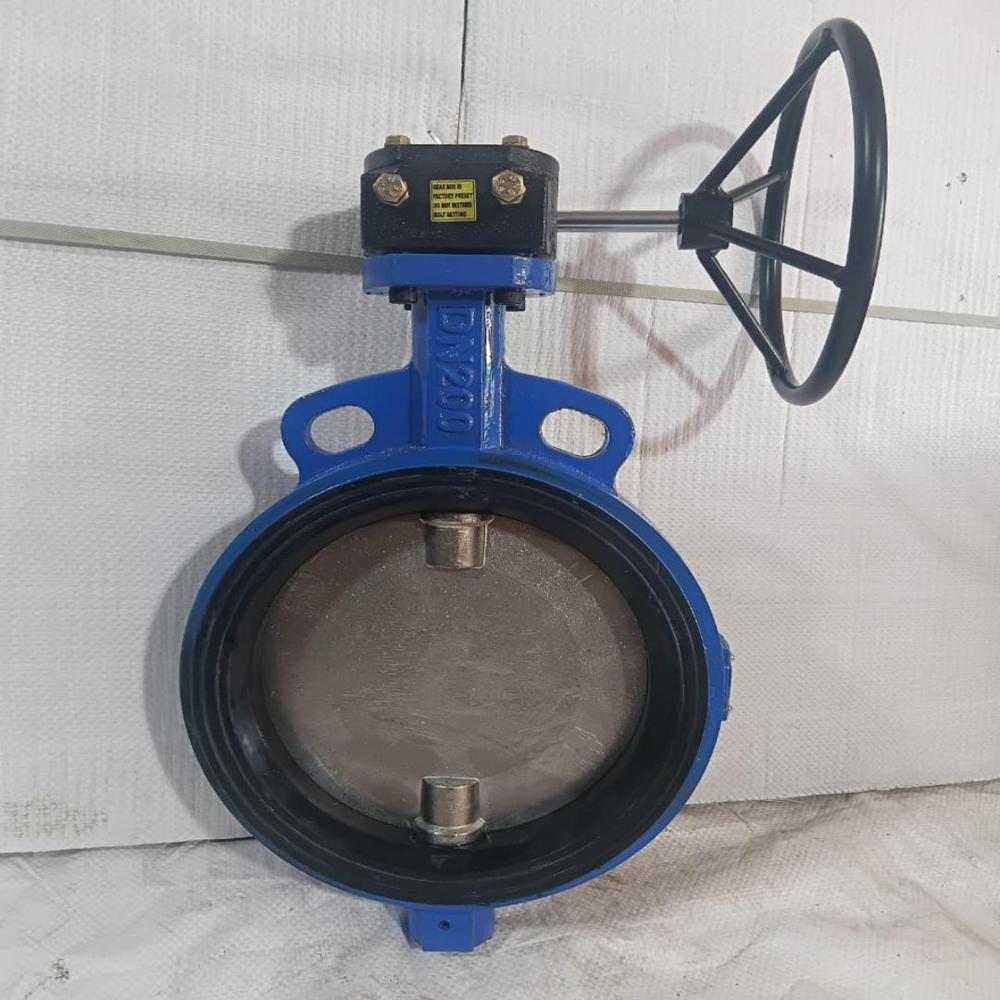 Gear Operated Butter Fly Valve - Color: Blue