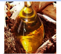 Sandalwood Essential Oil