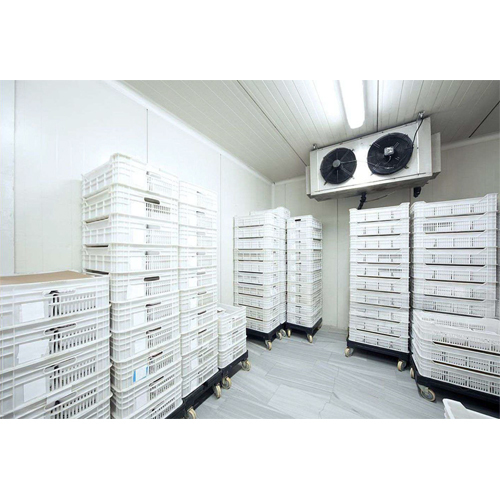 Cold Storage - Door Type: Single Door