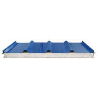 Expanded Polystyrene Roof Panel