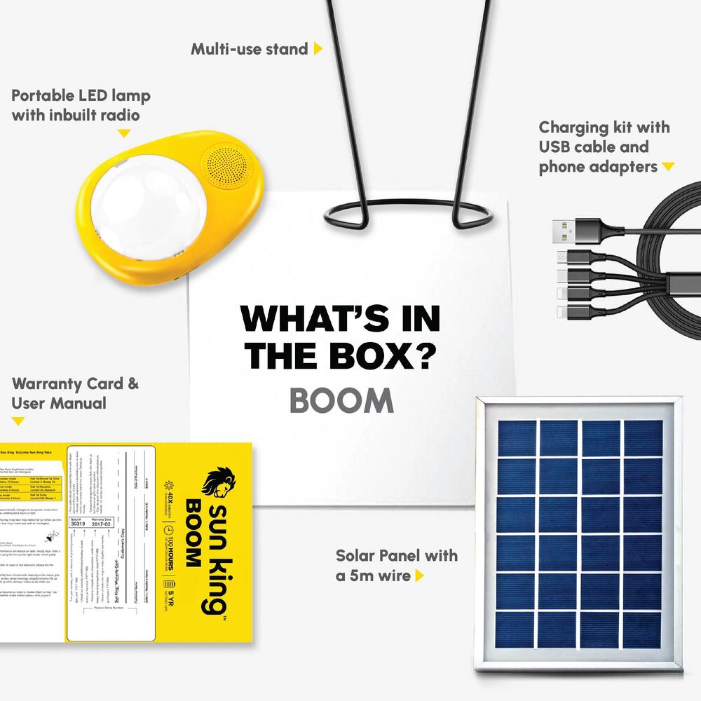 Portable solar lights