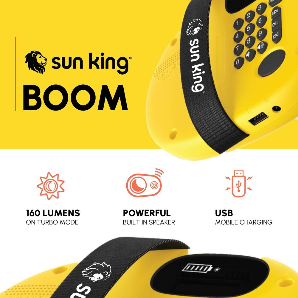 Portable solar lights