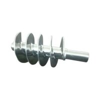 25mm Ss Auger Screw - Color: Silver