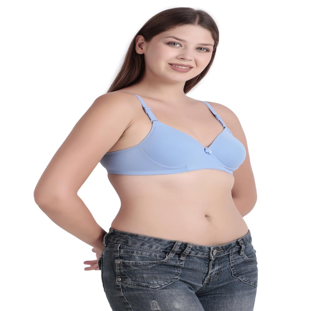 Ladies Plain Bra - Bra Design: Padded