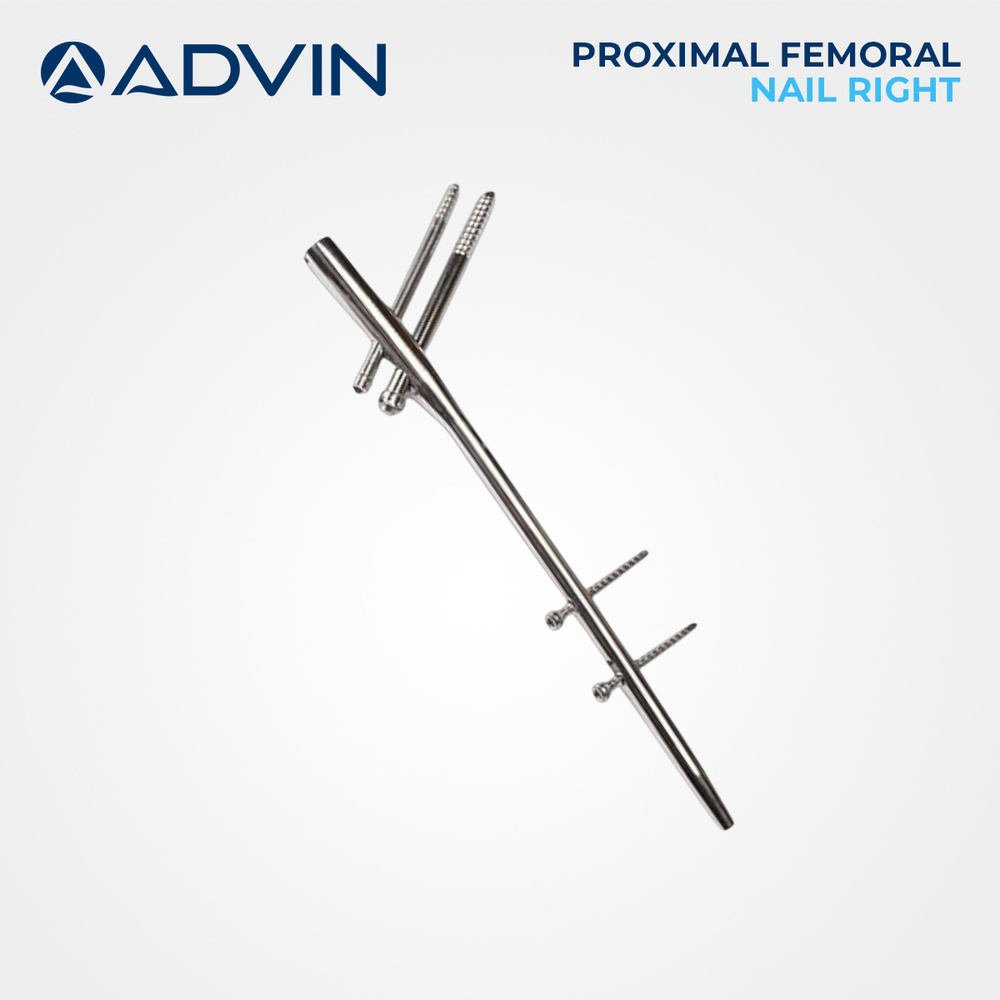 Proximal Femoral Nail (P.F.N) (Right)