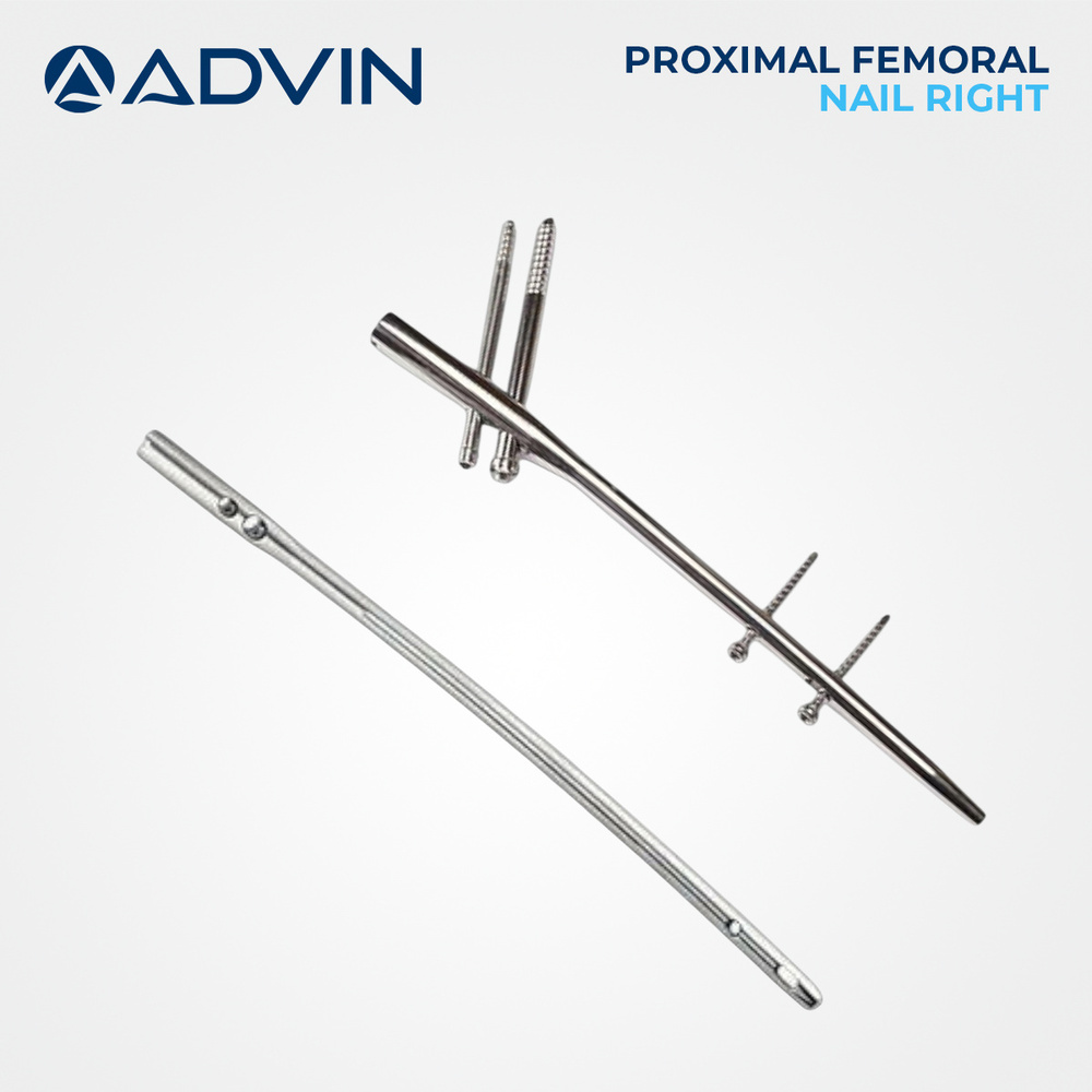 Proximal Femoral Nail (P.F.N) (Right)
