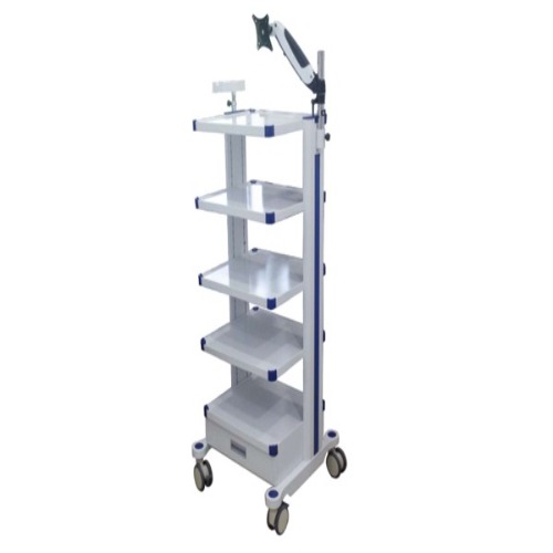 Monitor Trolley