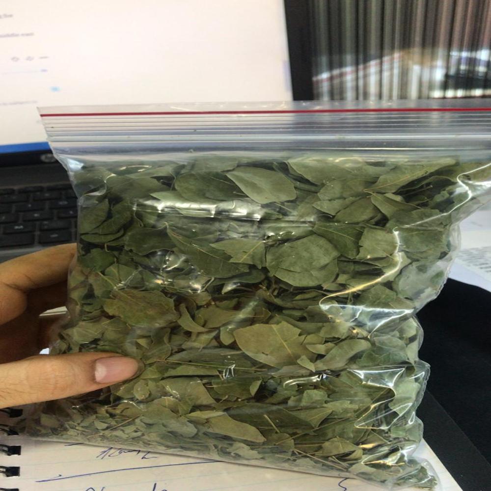 Moringa Leaves - Additives: No Additive