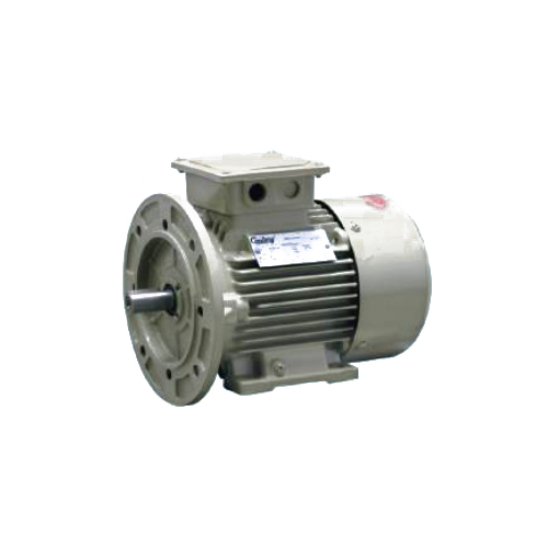 Foot And Flange Mounted Induction Motor - Frequency: 50 Hertz (Hz)