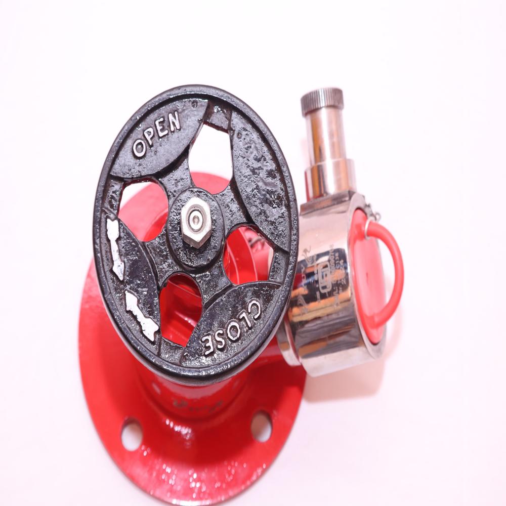 Fire Hydrant Valve - Capacity: 10 Kg
