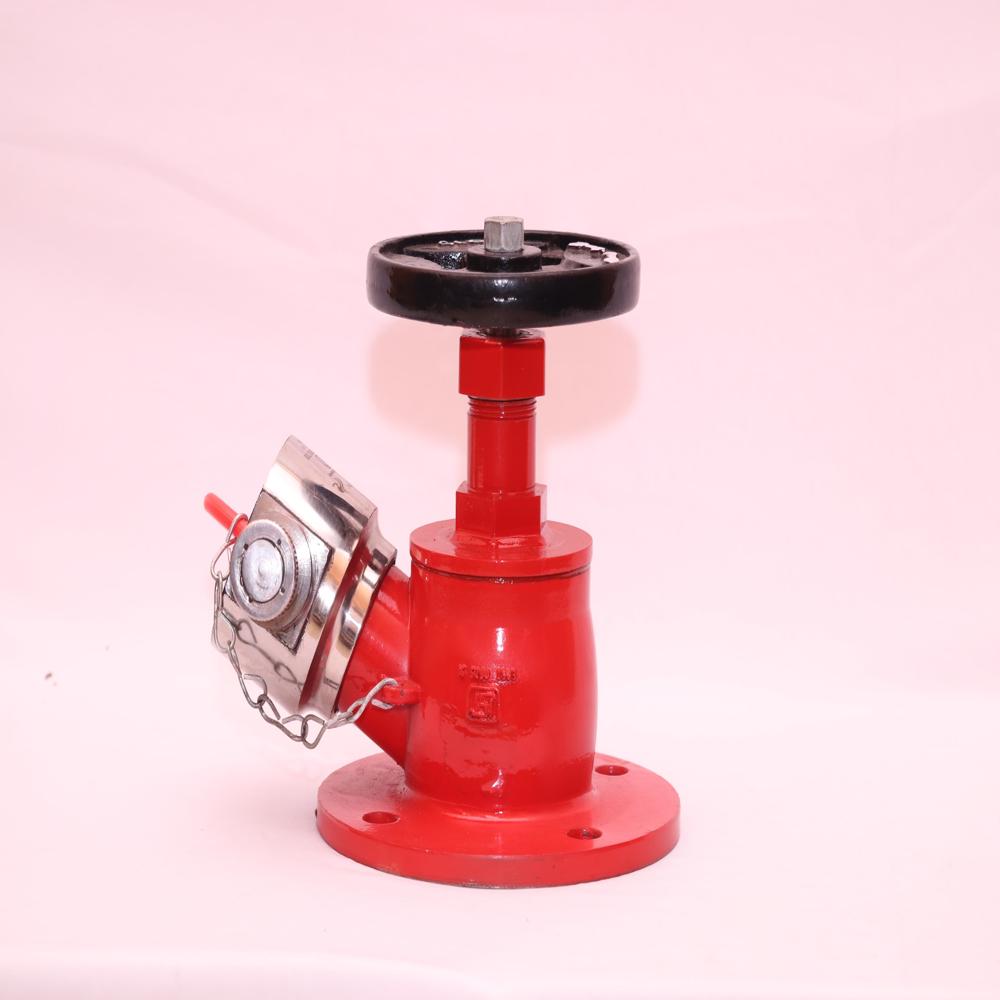 Fire Hydrant Valve - Capacity: 10 Kg