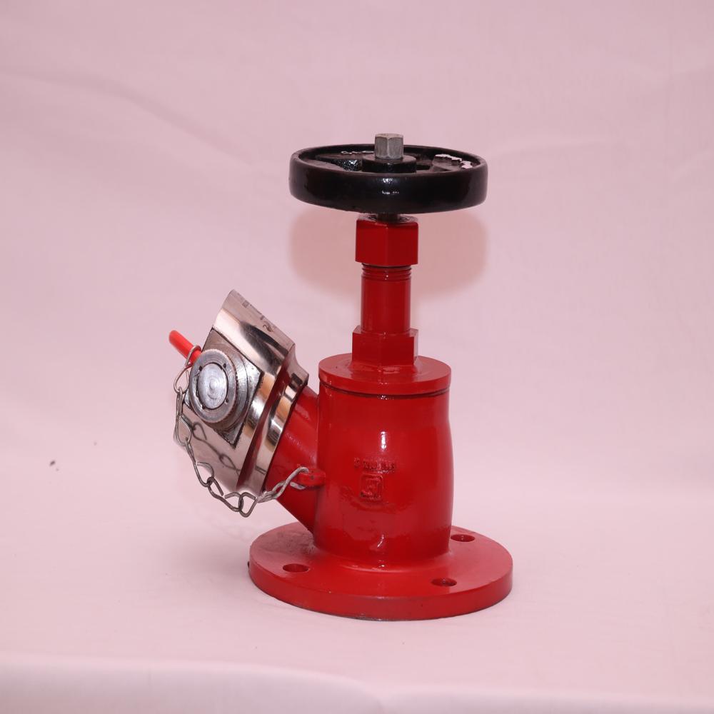 Fire Hydrant Valve - Capacity: 10 Kg