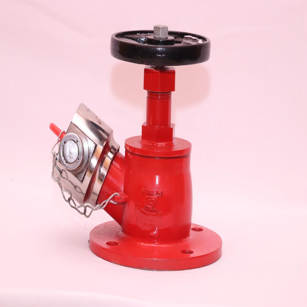 Fire Hydrant Valve - Capacity: 10 Kg