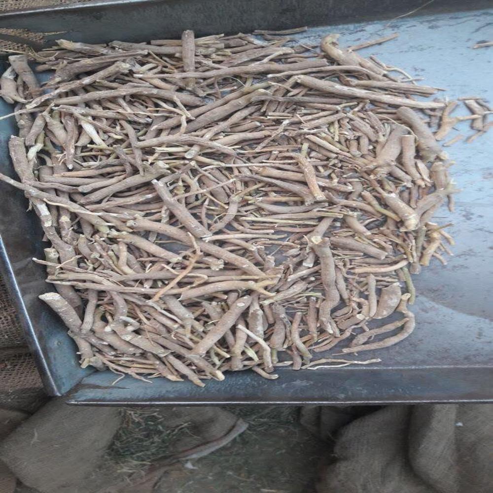 Ashwagandha Roots