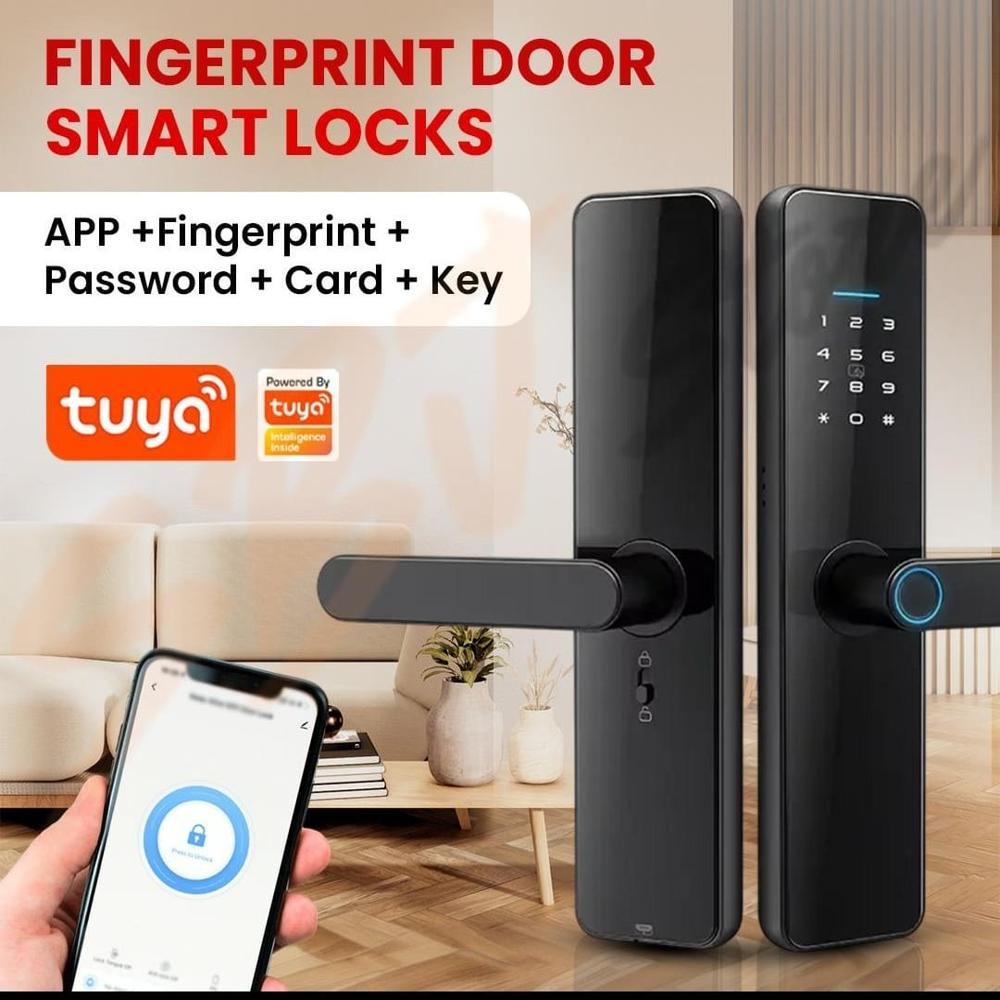 Biometric Handle Less Door Lock