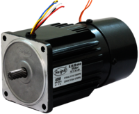 Brake Motor 40Watt