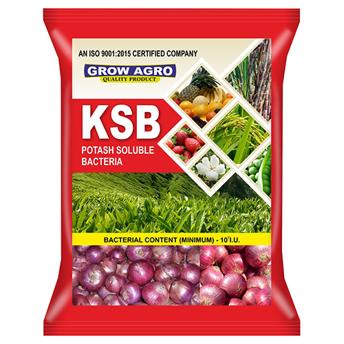 KSB Potash Soluble Bacteria