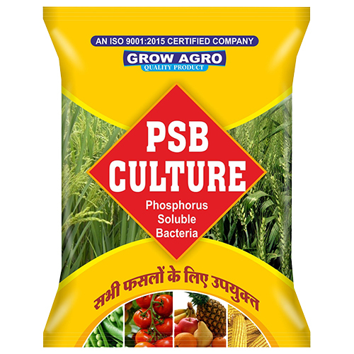 PSB Culture
