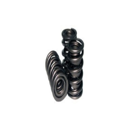 Valve Spring - Color: Oil