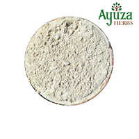 White Shatavari Powder