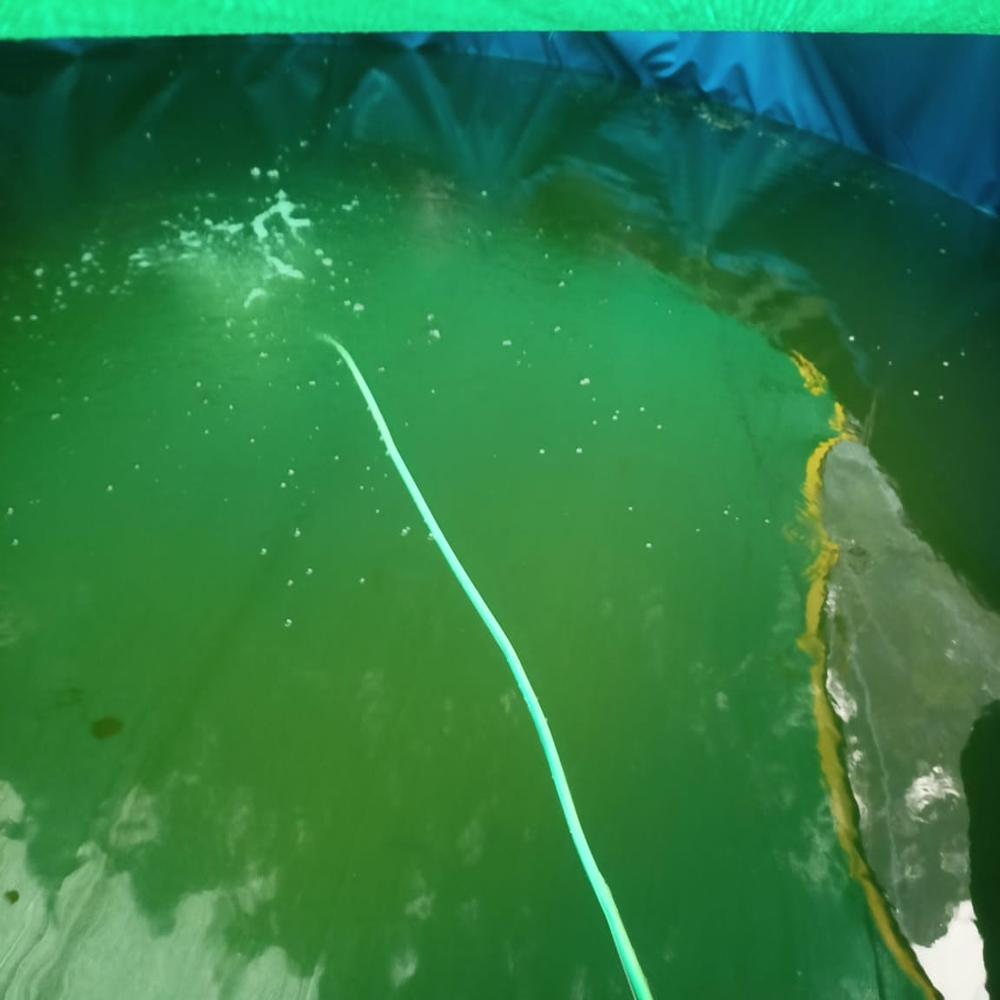 Biofloc Fish Farming Tank Protable Tank 4 Diameter 1250 Gsm - Color: All