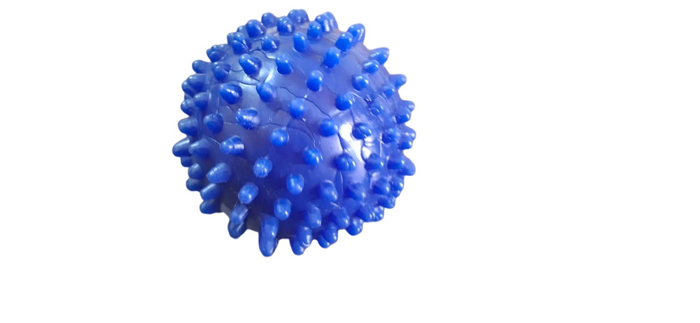 Blue Spike Ball Toy