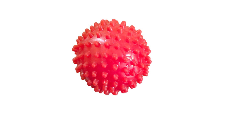 Red Spike Ball Toy