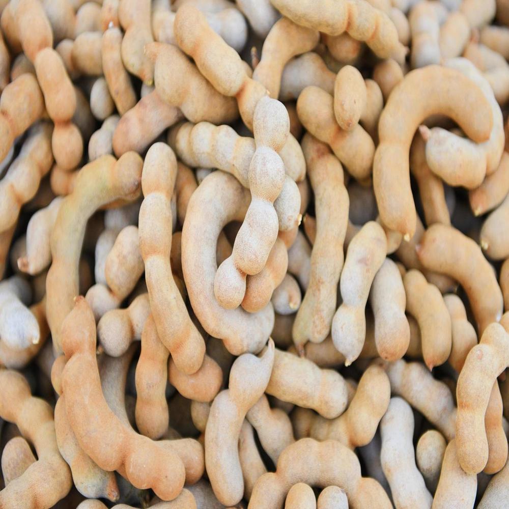Indian Raw Tamarind - Pack Size: Bag
