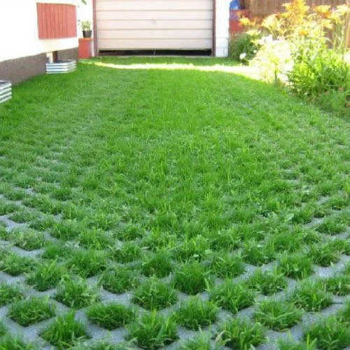Grass Paver