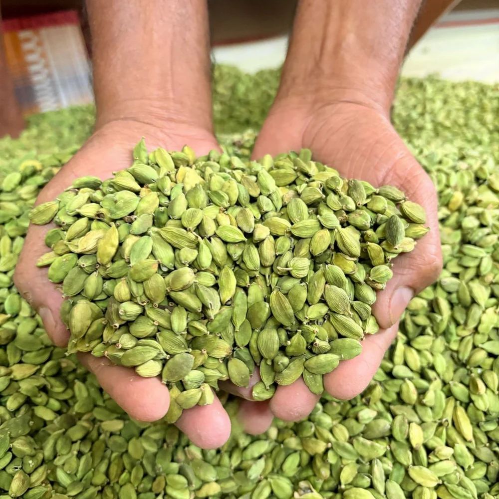 Green Cardamom 6 Mm - Grade: A