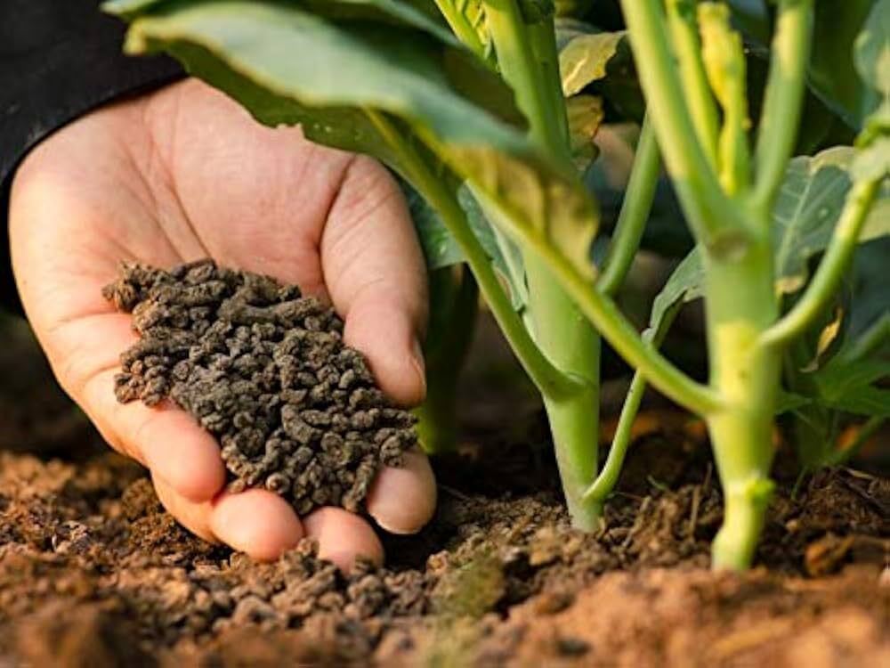 Vermicompost Fertilizer - Application: Farming
