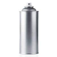 Metallic Spray Paint