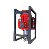 Electric Vibrator Motor