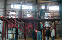 Green Tea Extract Herbal Extraction Plant