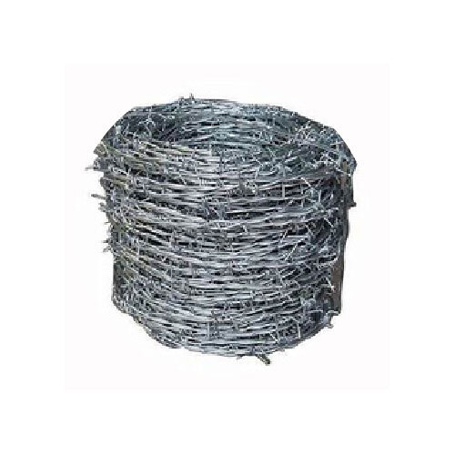 Barbed Wire 12x12