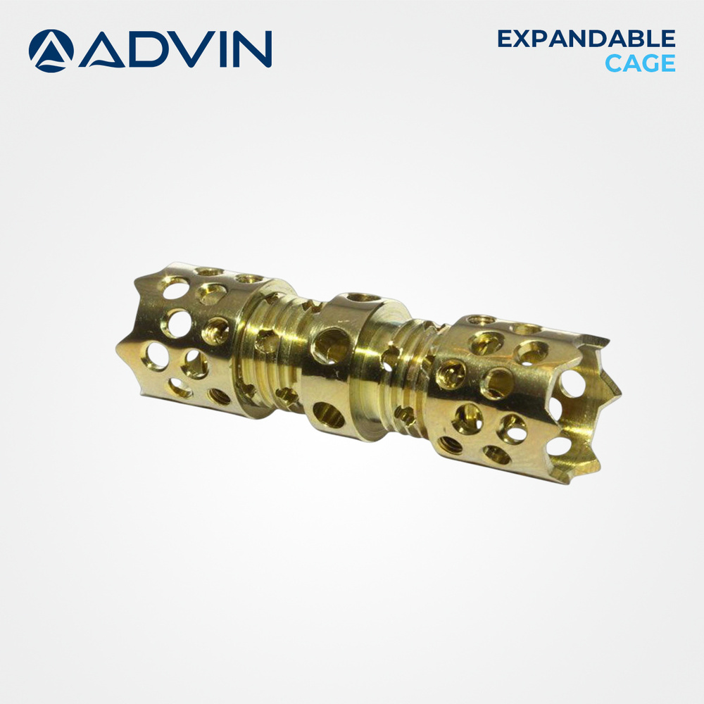 Orthopedic Expandable Cage