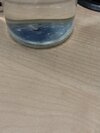 Tata Tea