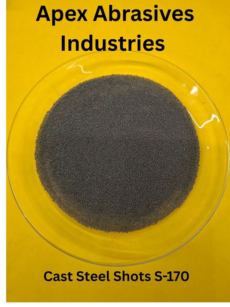 Cast Steel Shots S-170