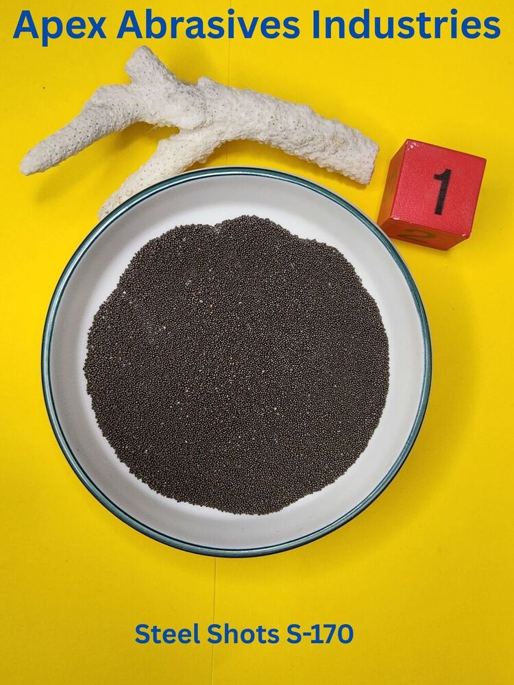 Steel Shots S-170